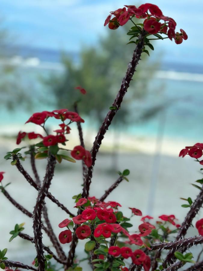 Lazzlla Beach Front Apartments ฮุลฮูมาเล ภายนอก รูปภาพ